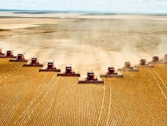 Changer d’alimentation pour sauver la biodiversité biodiversité et agriculture