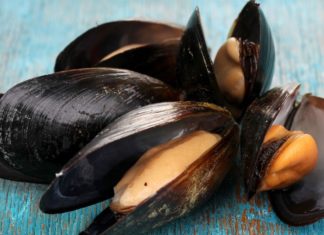 Des nouvelles toxines dans les moules en Méditerranée moules toxines