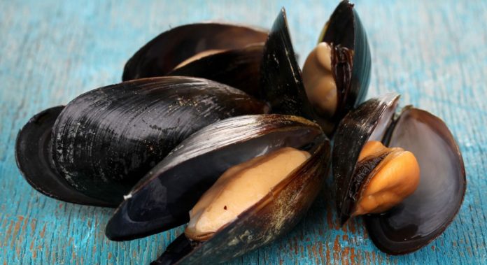 moules toxines