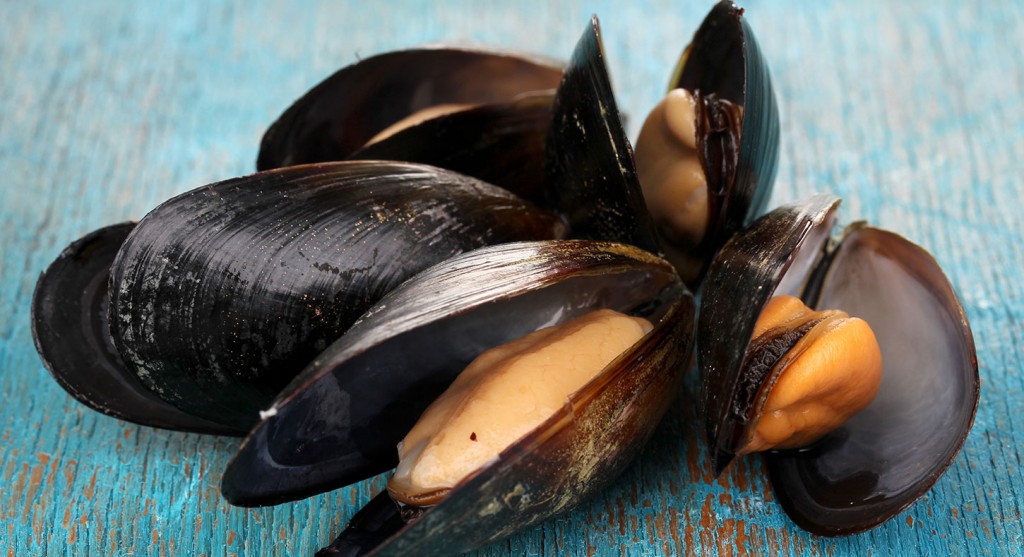moules toxines
