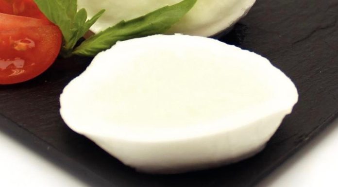 La mozzarella, star des plats d’été fromage mozzarella