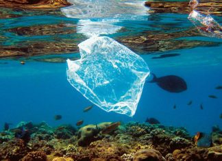 Le plastique recouvre la planète pollution plastique