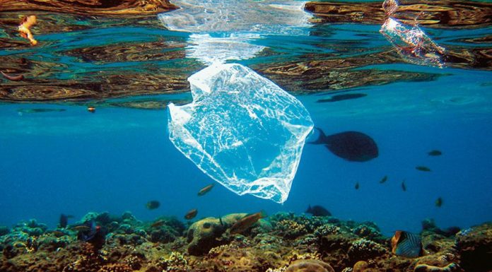 Le plastique recouvre la planète pollution plastique