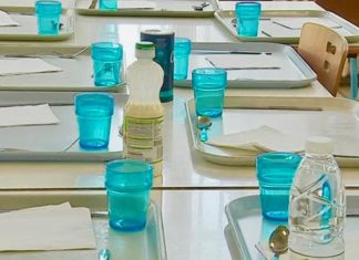 plastiques perturbateurs endocriniens