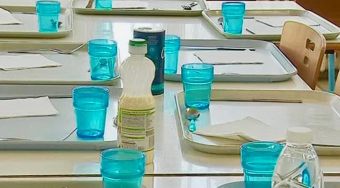 plastiques perturbateurs endocriniens