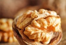 La noix, un aliment incontournable noix oléagineux