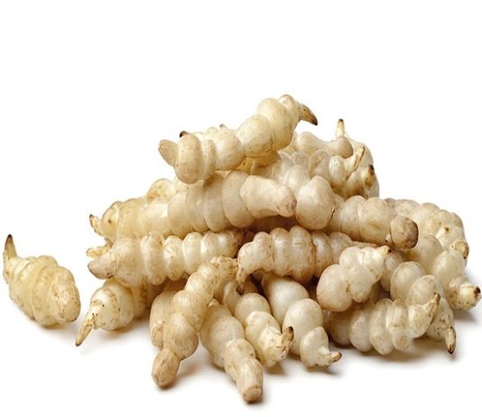 Les crosnes venus d’Orient crosne légumes