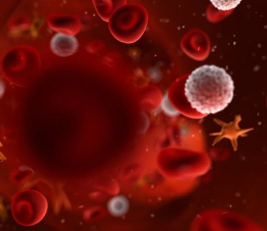 globules blancs immunité