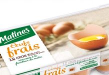 oeufs salmonelles