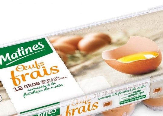Des œufs à la salmonelle oeufs salmonelles