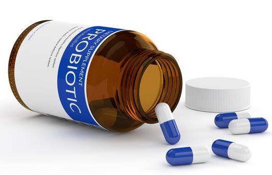 prébiotiques probiotiques