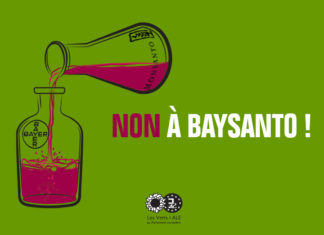 Round-up glyphosate Bayer