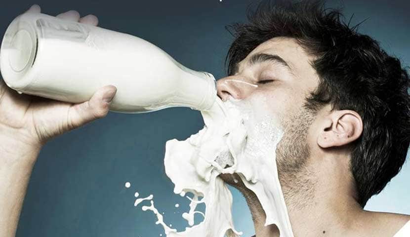 lait consommation lait