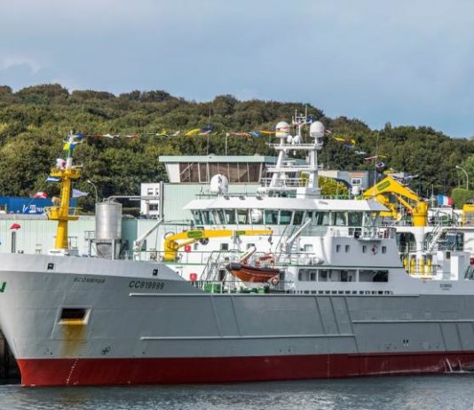 chalutier congelateur