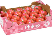 pesticides tomates sans pesticides