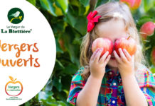 pommes vergers ouverts