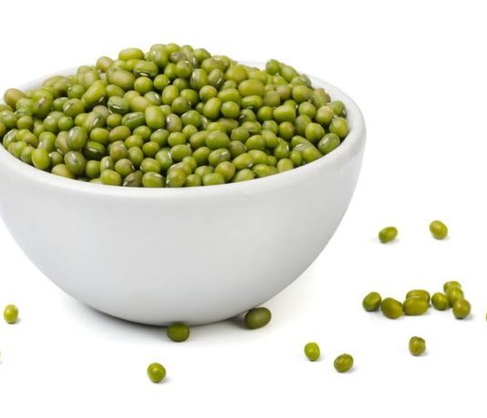 haricots mungo proteines