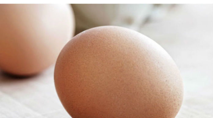 Les belles qualités de l’oeuf