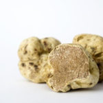 truffe blanche du Piemont