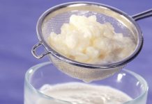 Aliments fermentés et effets probiotiques kefir aliments fermentes