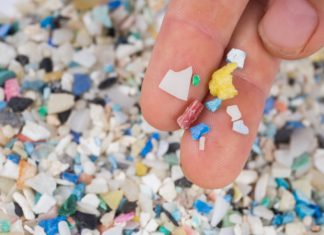 Les microplastiques, concentrés de polluants