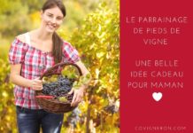 vignerons