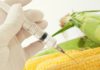 nouveaux OGM