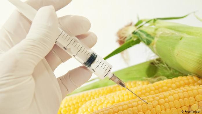 nouveaux OGM