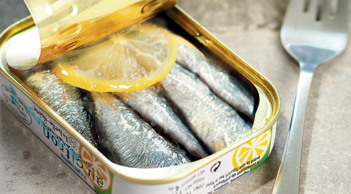 sardine-poisson-gras
