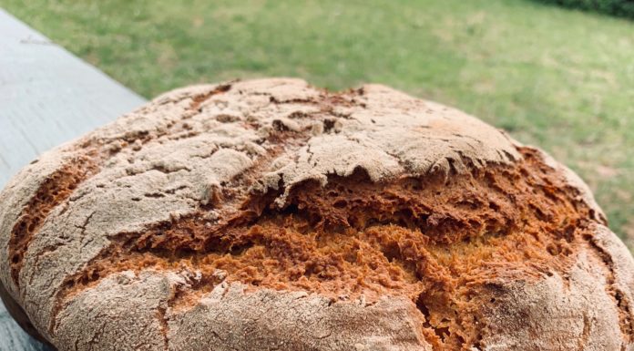 Pain au levain, les bienfaits de la lactofermentation pain au levain