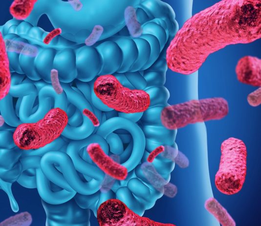 microbiote