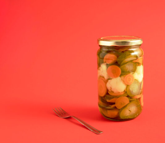aliments fermentes