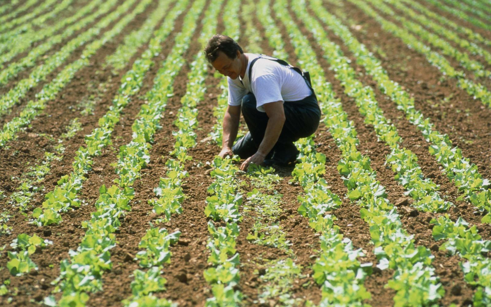 agriculture durable bio