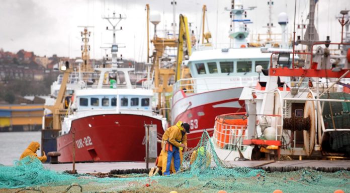 Pêche en eaux britanniques, le conflit ouvert peche accord britannique