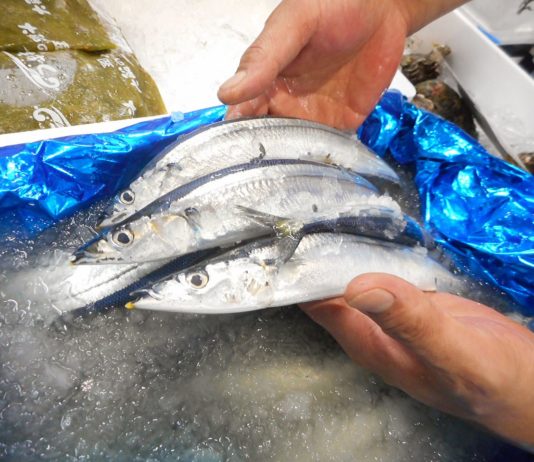 Les Français méconnaissent les poissons poissons apports nutritifs