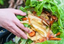 Les biodéchets au compostage biodechets