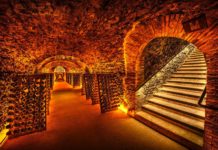 Comprendre le champagne et sa fabrication champagne