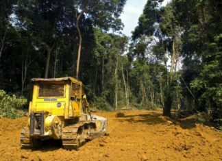 L’Europe dit stop à la déforestation deforestation