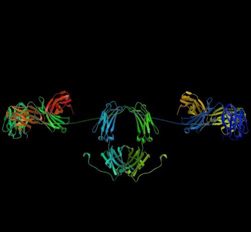 Allergies, traitement ARN à l’étude allergies ARN