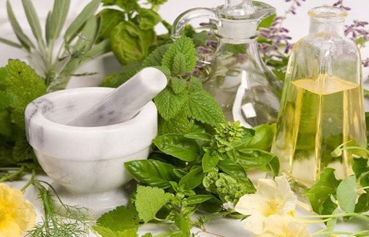 Naturopathes : une haute idée de la santé et de la nutrition naturopathes