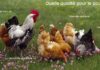 poulet label