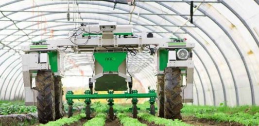 agriculture