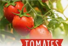 tomates label