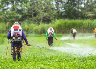 glyphosate et round-up
