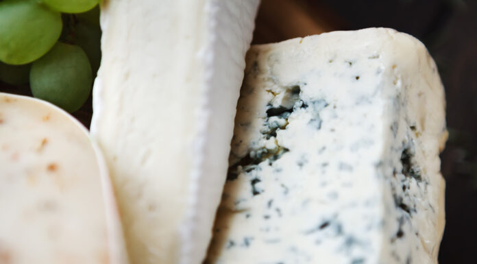 Les fromages camembert et bleu en voie de disparition fromages