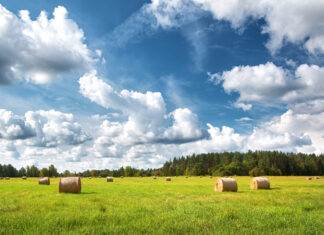 Pesticides, pause Ecophyto et autres régressions environnementales agriculture pesticides
