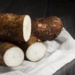 manioc