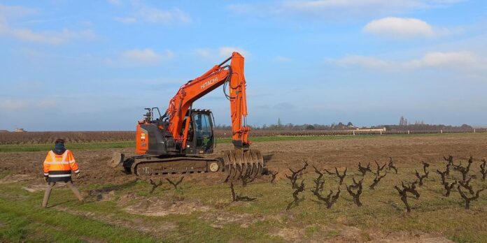 viticulteurs vignerons