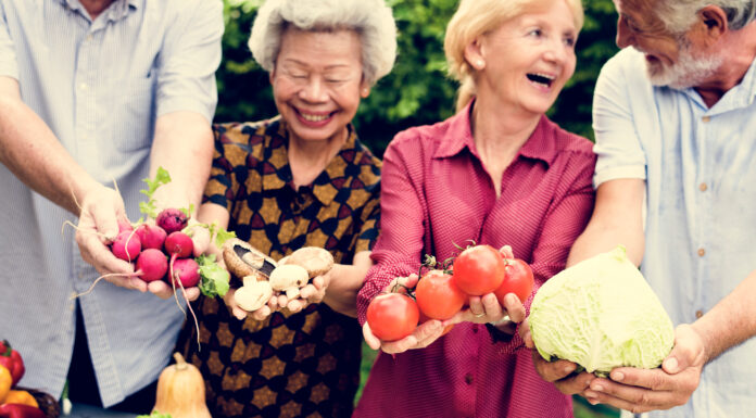 Alzheimer alimentation
