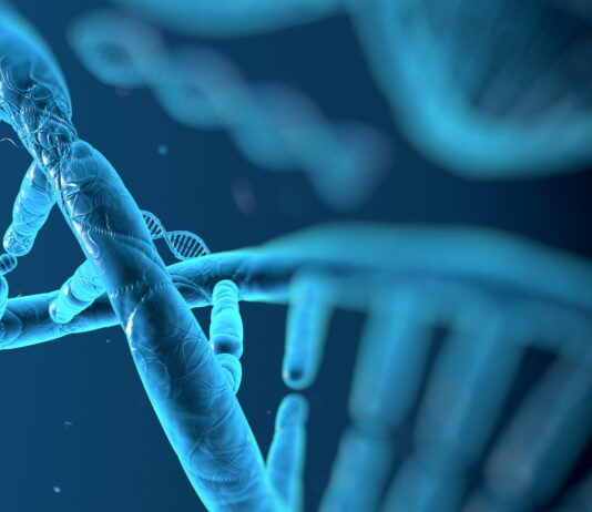 Après les OGM, les NTG ou Nouvelles Techniques Génomiques NGT Nouvelles Techniques Genomiques